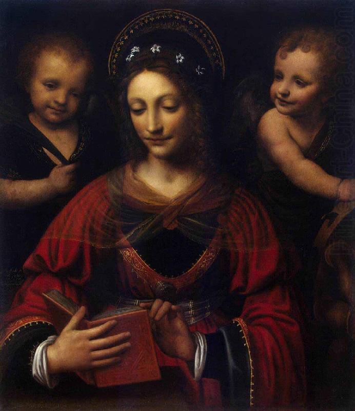 Bernardino Lanino Saint Catherine china oil painting image